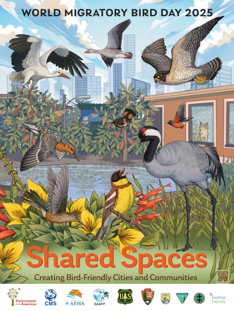 Shared Spaces: Creating Bird-Friendly Cities and Communities is the theme for 2025 World Migratory Bird Day. The poster has a city in the background with eight birds in the foreground.