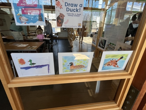 A series of childish drawings of ducks photographed through a window.