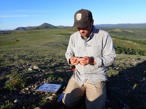 Man wearing a USFWS hat surveying plants