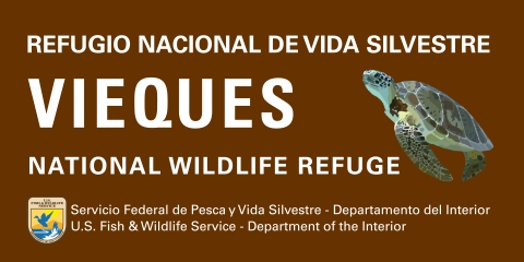 Vieques NWR Sign showcasing Ambassador Species "Green Sea Turtle"