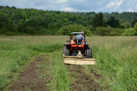 A person plowing through grass in a grassland