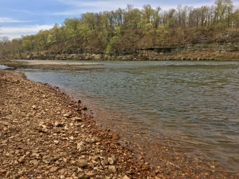 The shore of a river