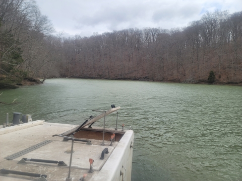 Fish hauling truck about to release water and fish into a lake. Water is clear with an army green tint. The background shoreline has mostly bare deciduous trees with a few interspersed evergreens.