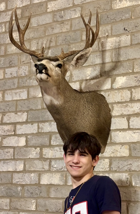 Youth standing beneath a mule deer mounted on a brick wall