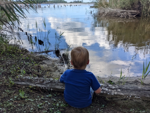 A child sits at the end of a calm body of water. It appears they are sitting on a piece of wood covered in barnacles. Vegetation lines the sides of the small body of water. The remnants of a dock structure are in the background.