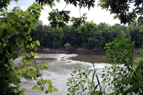 Green foliage is plentiful around a river with rapids.
