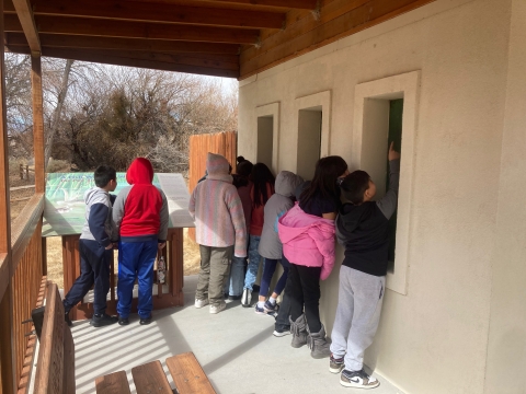 Students from Rundle Elementary School read about and view the endangered Pahrump poolfish