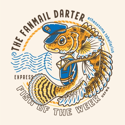 a brown fish wearing postal outfit carrying a bag of letters. The text reads: the fanmail darter express / Fish of the Week USFWS