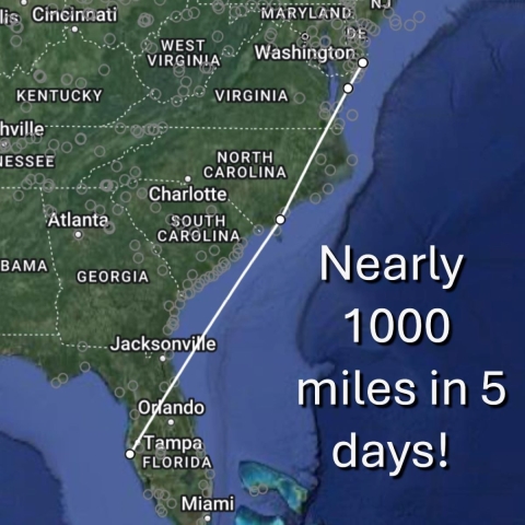 A map of the southeastern United States showing a line path from Maryland to the gulf coast of Florida