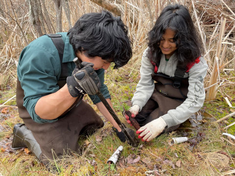 Groundwork Hudson Valley Green Team Volunteers Plant Atlantic White Cedars at Wallkill River National Wildlife Refuge