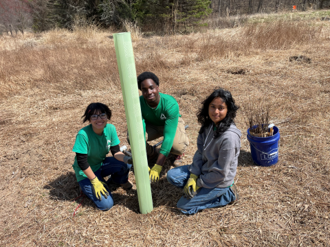 Groundwork Hudson Valley Green Team Volunteers Plant Chestnut Trees at Cherry Valley National Wildlife Refuge