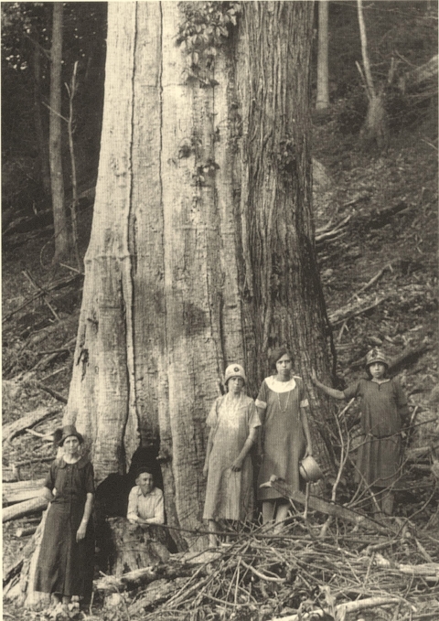 Five individuals in 1920 dress gather at the base of a large tree.