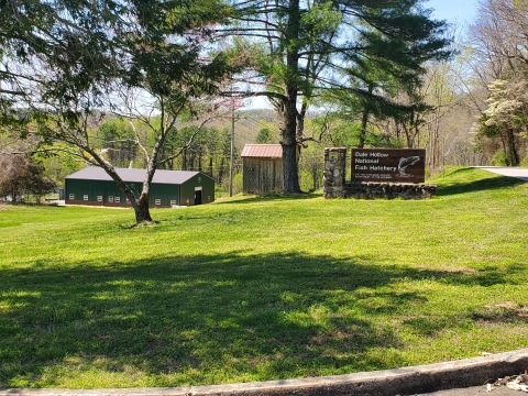 View of the Dale Hollow National Fish Hatchery entrance with trees, green grass, a brown and white sign, and a green metal building in the background