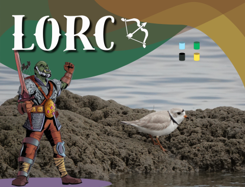 A piping plover stand atop an outcrop of tube-building worm reef with the bay in the background. A green, brown, and gold stylized graphic along the top of the frame contains white text that reads, “Lorc” followed by a white bow and arrow. Four cynlinders underneath the graphic illustrate the plover’s band combination as light blue over black on the left and green over yellow on the right. On the left side of the frame, character art of Lorc Irontusk from the Glass Cannon Podcast shows a green male humanoid