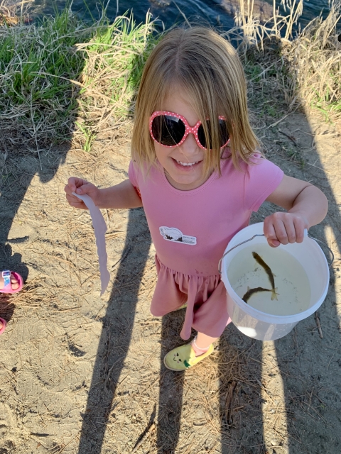 Young girl in a pink dress holds a small bucket with two fish to release