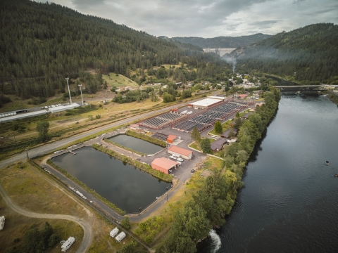Clearwater Fish Hatchery