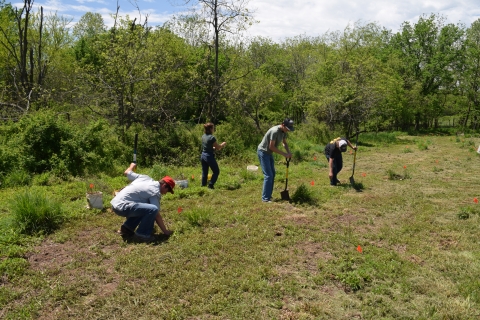 Students planting trees