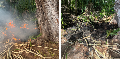 Active fire and burned area at the Guam National Wildlife Refuge