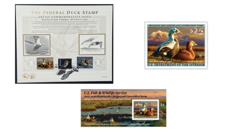 2025-2026 duck stamp products