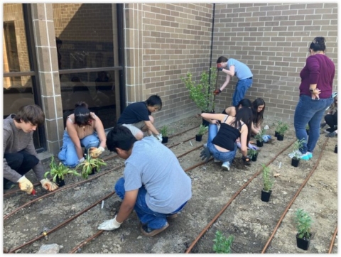 a group of 8 students planting in the pollinator garden area