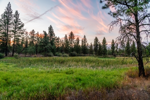 A wetland at Turnbull NWR during sunset