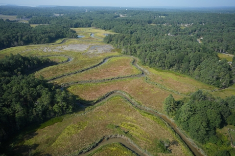 Aerial view of Cousins River Marsh