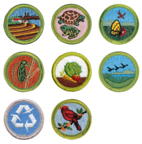 Image showcasing the eight different merit badges you can earn at Culebra NWR.