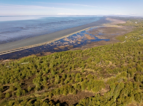Aerial view of the conserved property and Potter Marsh in Anchorage, Alaska. Photo by Kerry Tasker
