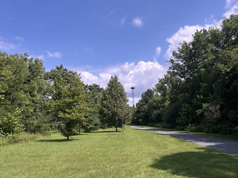 a green lawn is flanked by a paved trail, with green trees and blue sky in the background