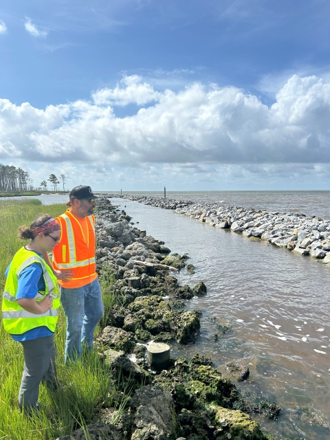 Two people in bright fluorescent vests stand at a shoreline. Green marsh grasses are bordered in a row of rocks, with another breakwater of rocks slightly further offshore.