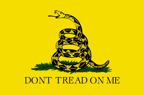 Gadsden Flag saying "dont tread on me"