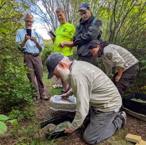 People releasing rabbit