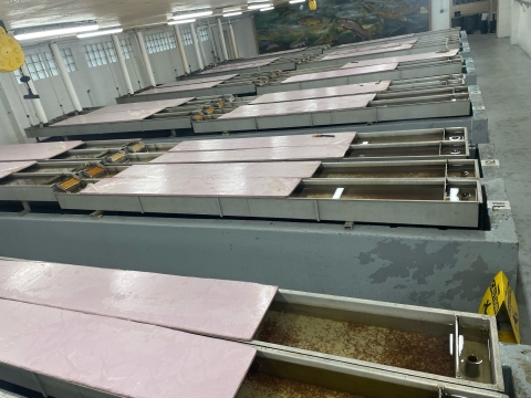 Troughs full of sack fry in the Hatch house