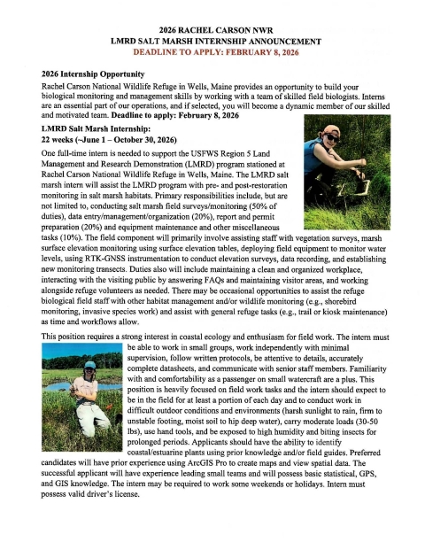 Saltmarsh Interns Working in the Marsh