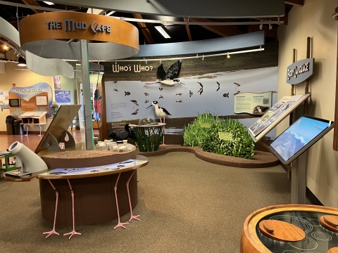 An exhibit hall with various screens, tables, posters, and displays with information about wetlands and waterbirds.