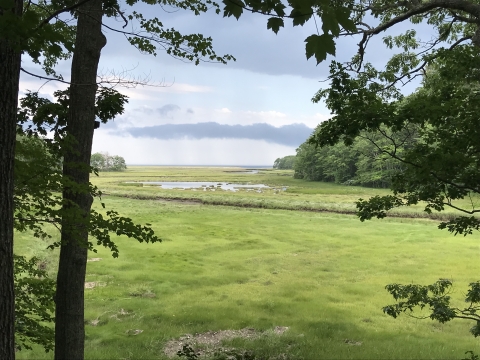 Salt marsh view from the Rachel Carson Trail in Wells Maine