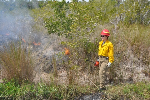 Photo of firefighter carrying drip torch along active fireline