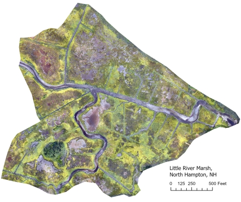 Aerial map of the entire Little River saltmarsh site in North Hampton, New Hampshire taken from a drone with high-resolution camera, with scale bar for reference