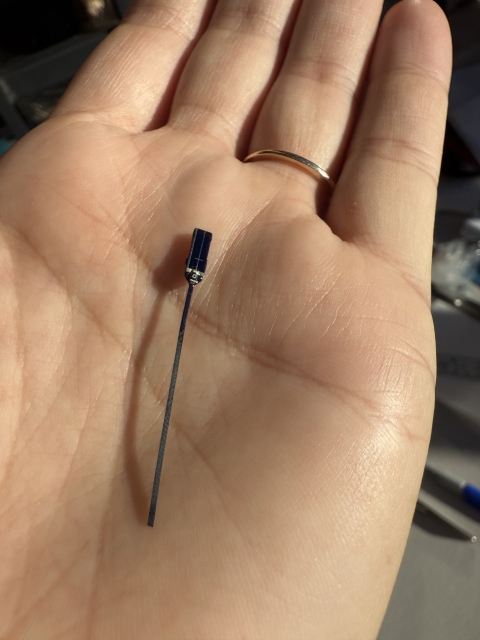 Coastal Program biologist holding a radio telemetry transmitter for a monarch butterfly