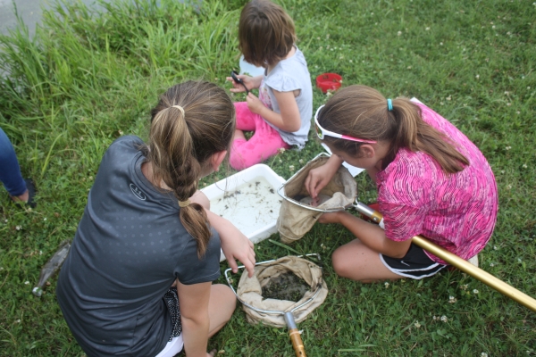 An image of children exploring a wetland with nets.