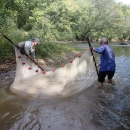 Two people hold a broad net in a river with green vegetation on the banks.