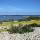 Landscape view of Michigan Islands National Wildlife Refuge.