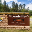 Leadville Hatchery entrance sign