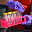 A biologist holds a tray of plastic tubes of water samples in gloved hands.