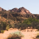 Red rocks, sand, and desert shrubs at Red Cliffs Desert Reserve 