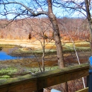 A viewing platform with spotting scope overlooks the Salt Meadow Unit's marsh in fall, Westbrook