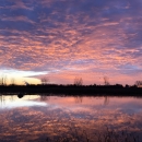 Sunrise over a wetland with pink and purple clouds reflected in the water