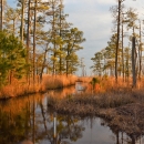The setting sun casts a golden glow on coastal marshes.