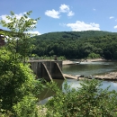 Cement dam in water surrounded by trees