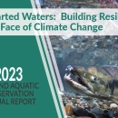 Graphic cover of the 2023 Fish and Aquatic Conservation Annual Report. Contains the image of a salmon swimming in clear water. Text reads "Uncharted waters: Building Resilience in the Face of Climate Change"